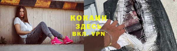 хмурый Белокуриха