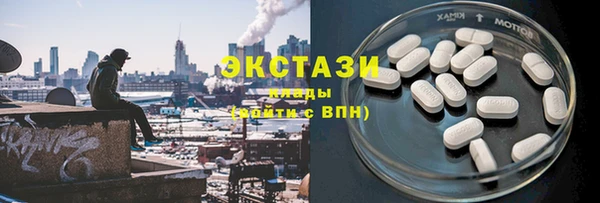 индика Беломорск