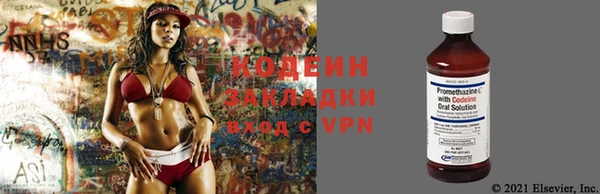 хмурый Белокуриха