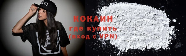 хмурый Белокуриха