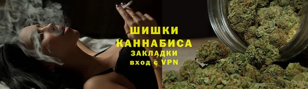 индика Беломорск