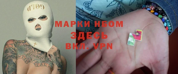хмурый Белокуриха