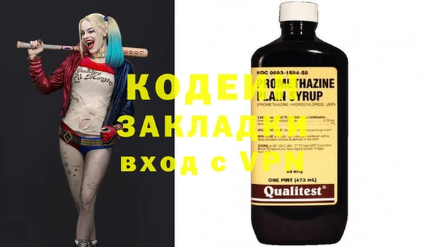 хмурый Белокуриха