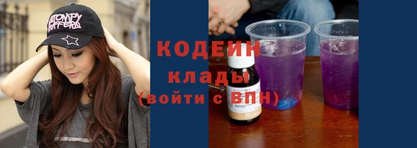 индика Беломорск