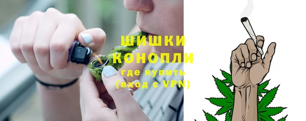 индика Беломорск