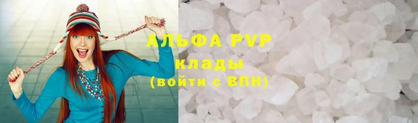 индика Беломорск