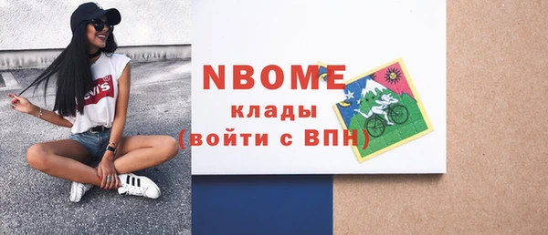 индика Беломорск