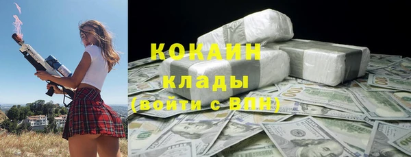 хмурый Белокуриха