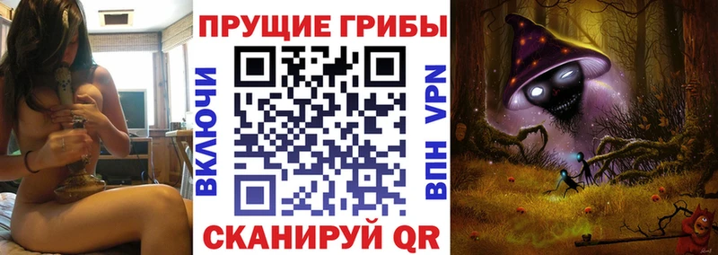 Псилоцибиновые грибы Psilocybine cubensis  Купить где  Верхоянск 